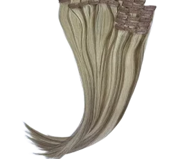 Aligned Straight Clip Ins